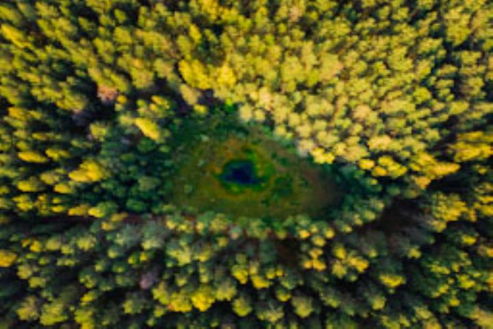 10-daagse rondreis Estland